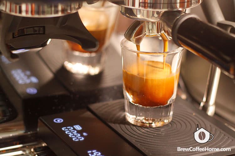 pull a shot of espresso
