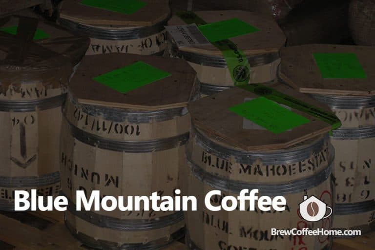 Best Jamaican Blue Mountain Coffee Top 7 Reviews And Buying Guides