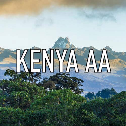 Kenya-AA