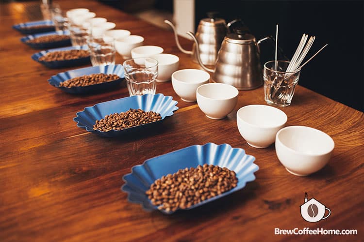 coffee-grading