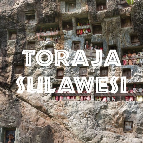 sulawesi