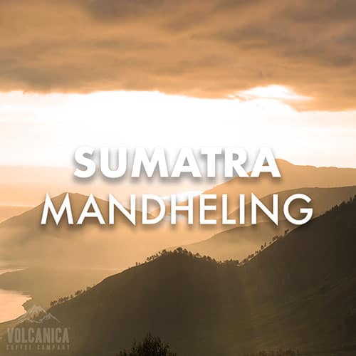 sumatra-mandheling