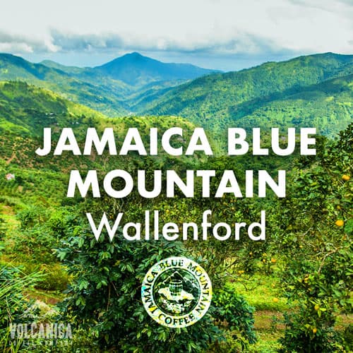 wallenford-Volcanica