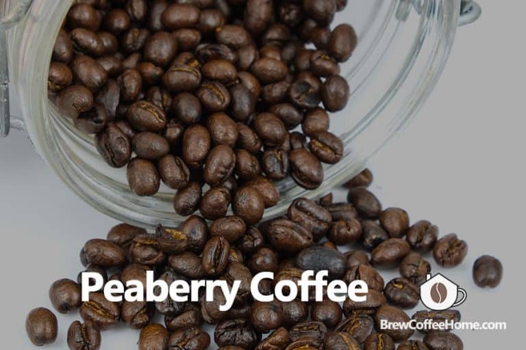 What Is Peaberry Coffee Beans Does Peaberry Coffee Taste Better?