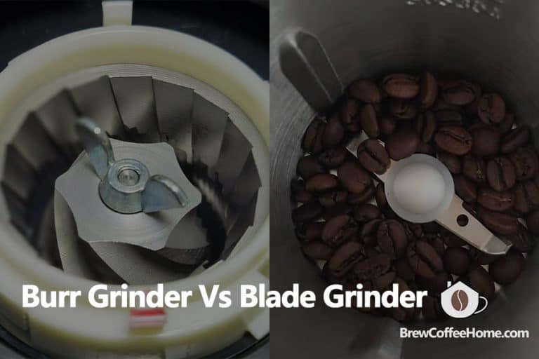 Burr vs Blade Grinder Which Type Of Coffee Grinder Should You Use?