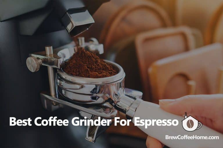Best Espresso Grinder Reviews Essential For Perfect Espresso Shots