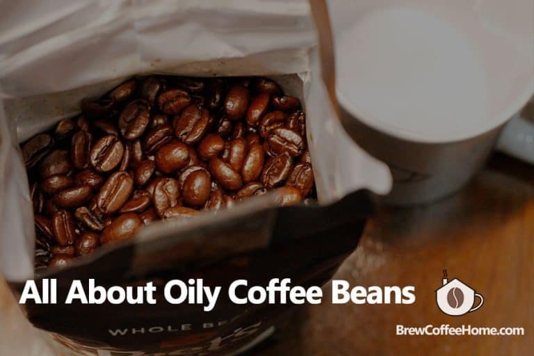 Why Coffee Beans Are Oily Is It Good or Bad?