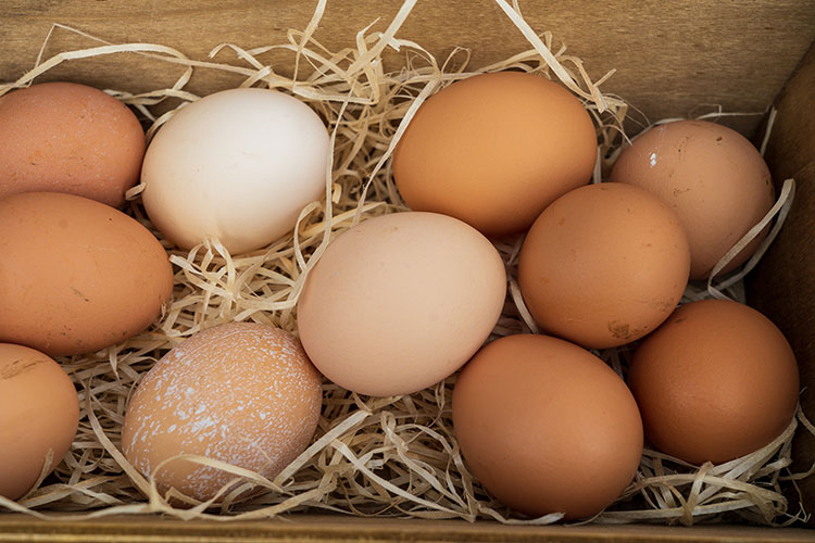 fresh-eggs