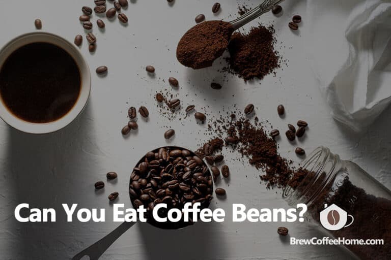 Can You Eat Coffee Beans?