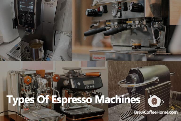 A Comprehensive Coffee Terms Glossary 100+ Coffee Words