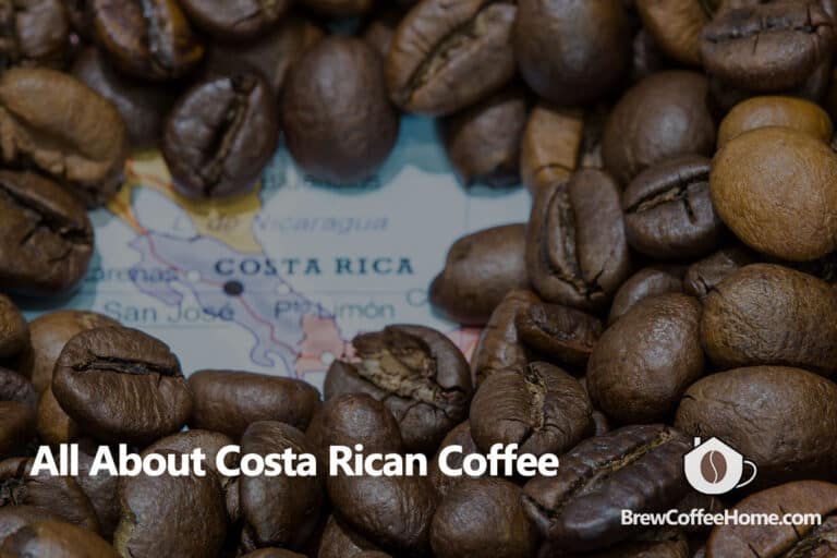 The Ultimate Buying Guide for Costa Rican Coffee (Everything You Need to Know)