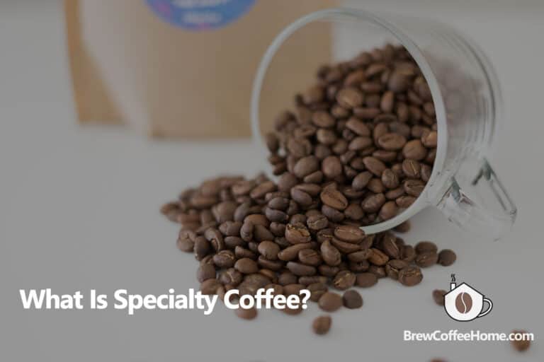 What is Specialty Coffee A Quick Overview
