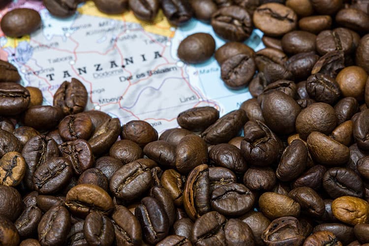 Tanzania-Coffee
