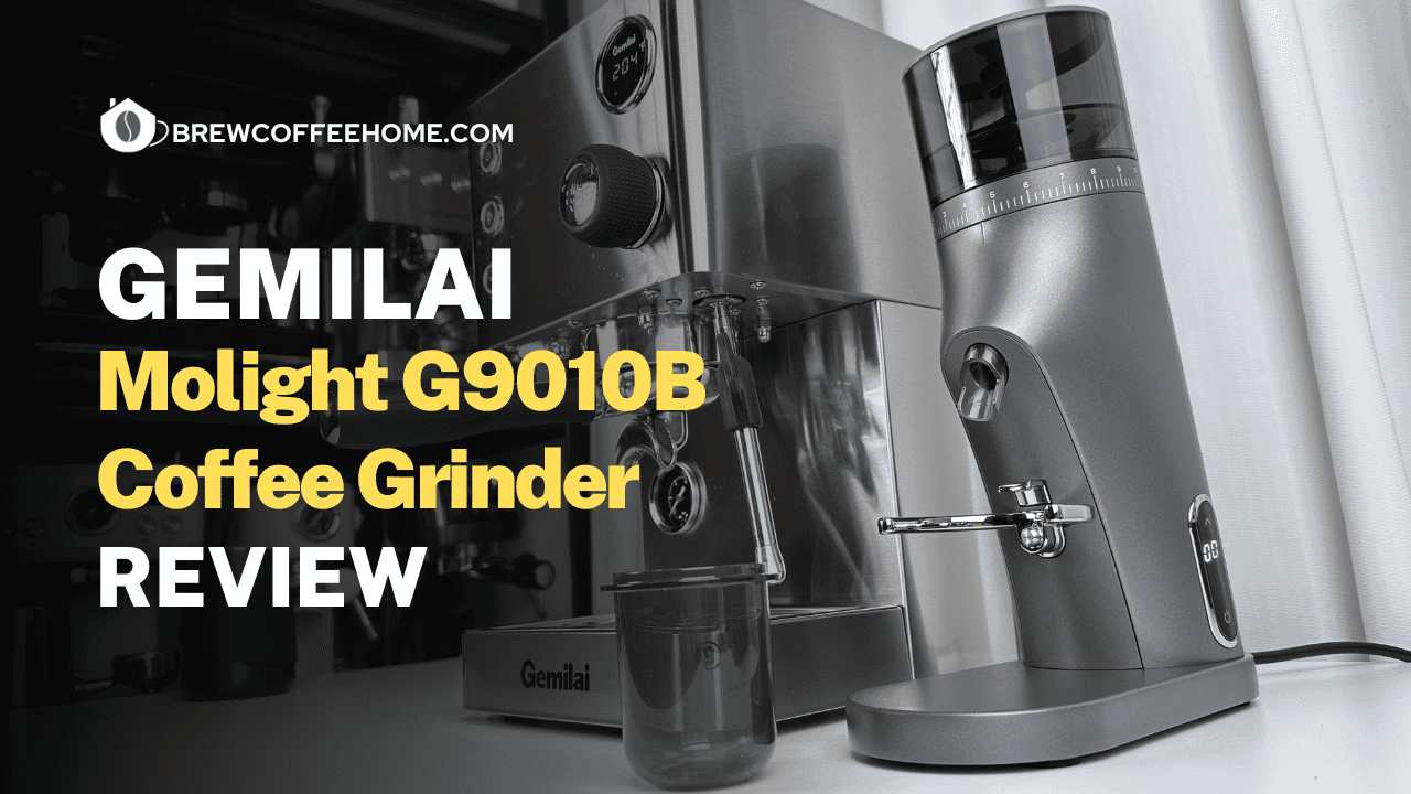 Gemilai Molight G9010B Coffee Grinder Review