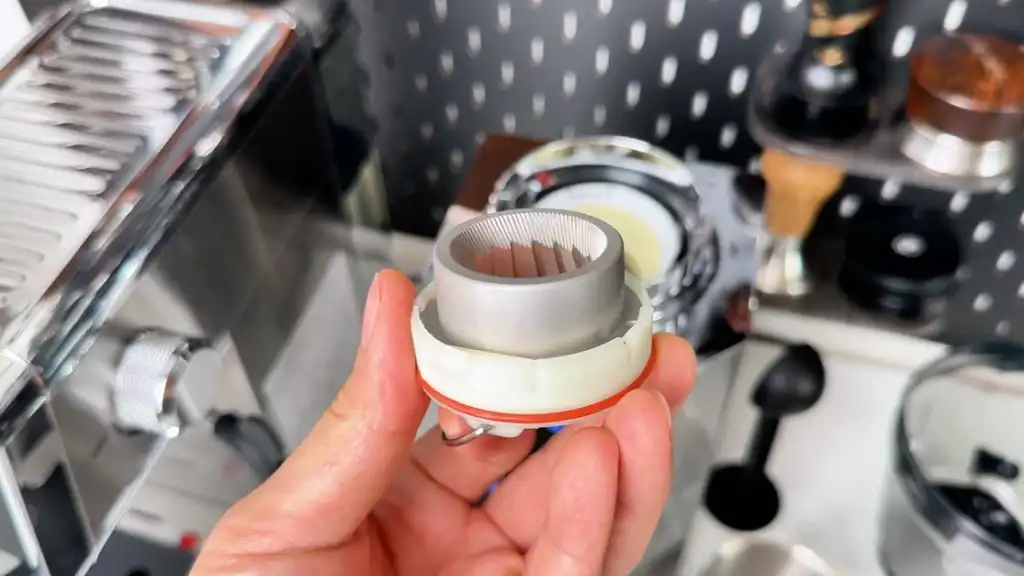 cofibrews-conical-burr