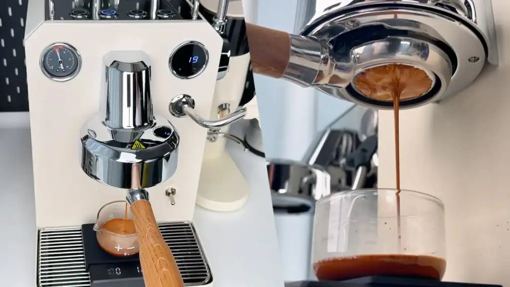 gemilai owl g3006h (espresso performance)